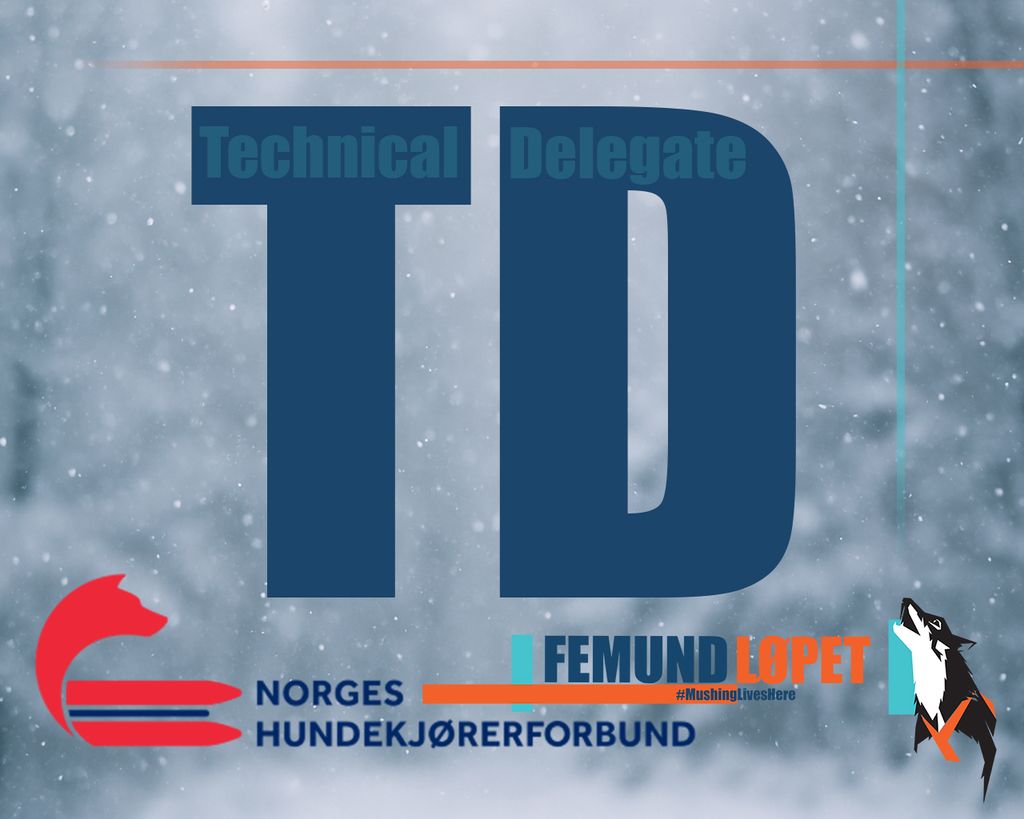 TD – hva i all verden er det?