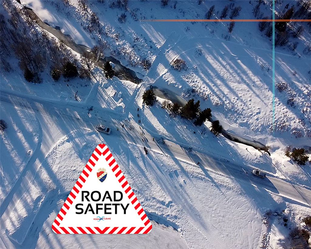 Road Safety skaper sikkerhet for hunder og kjørere