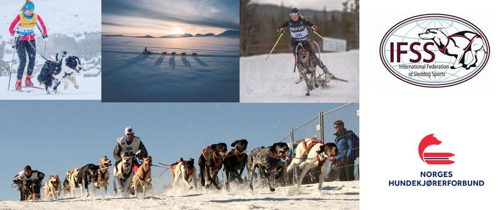VM hundekjøring 2025 – alle snø-grener – legges til  Røros 