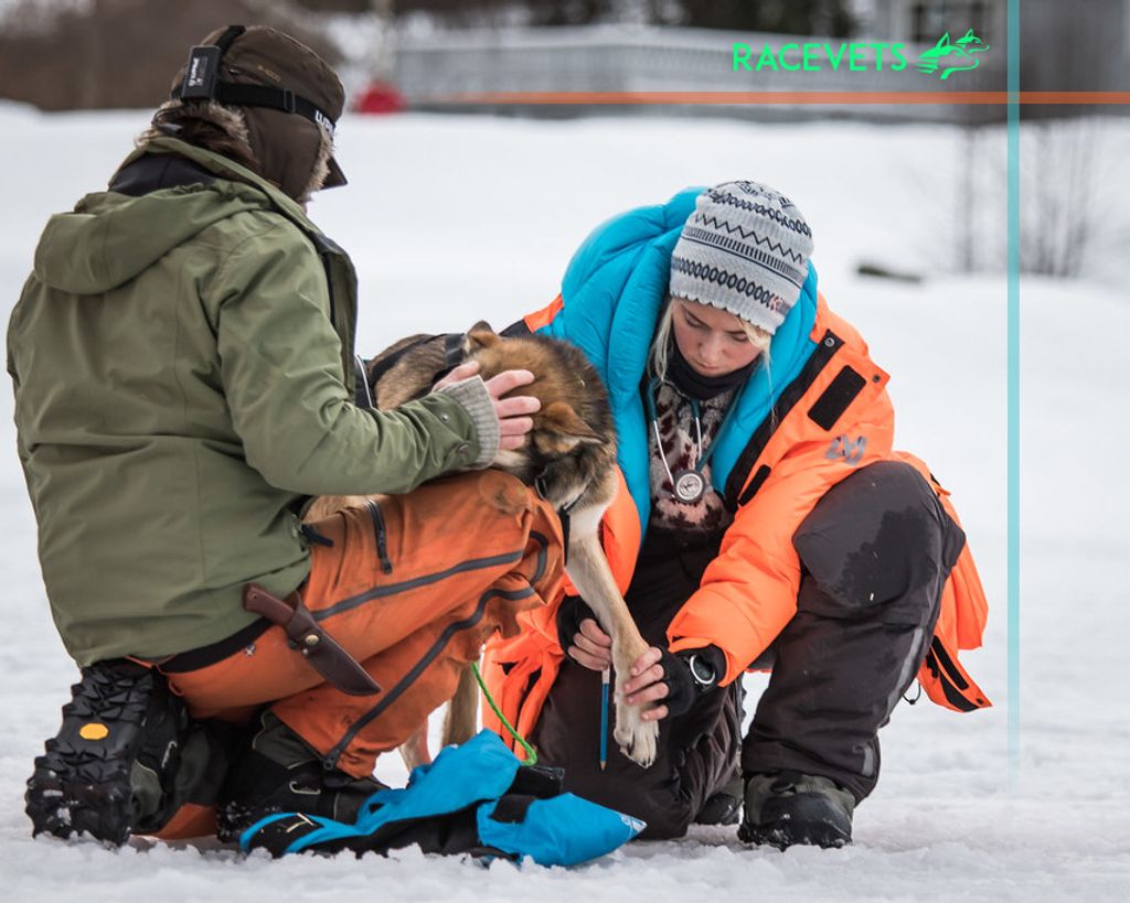 Femundløpet 2026 – tilbud om gratis presjekk (PRC) på Røros – bestill tid nå