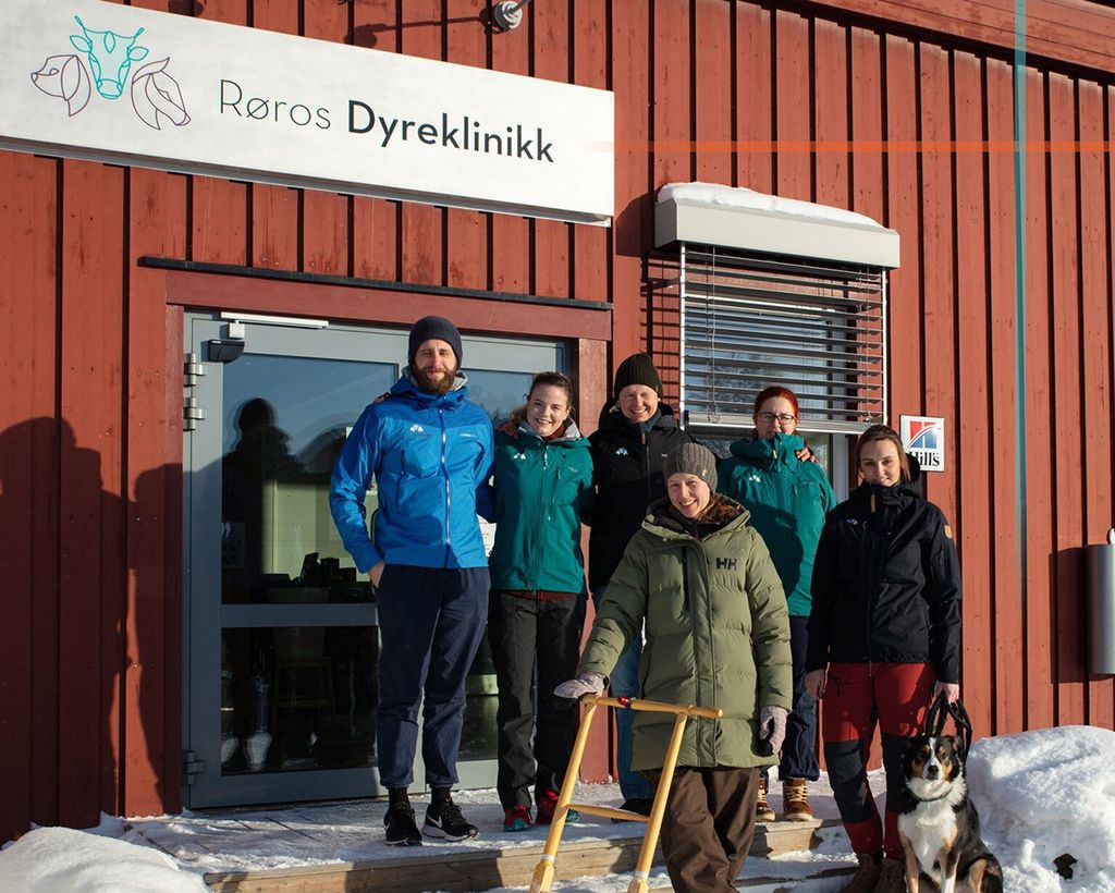 Ekstra trygghet for hunder og deltakere under Femundløpet