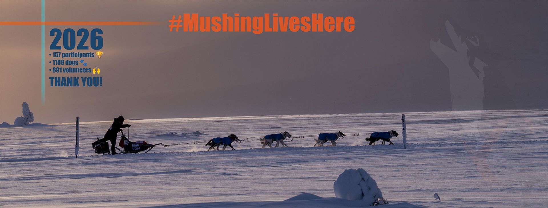 Velkommen til Femundløpet