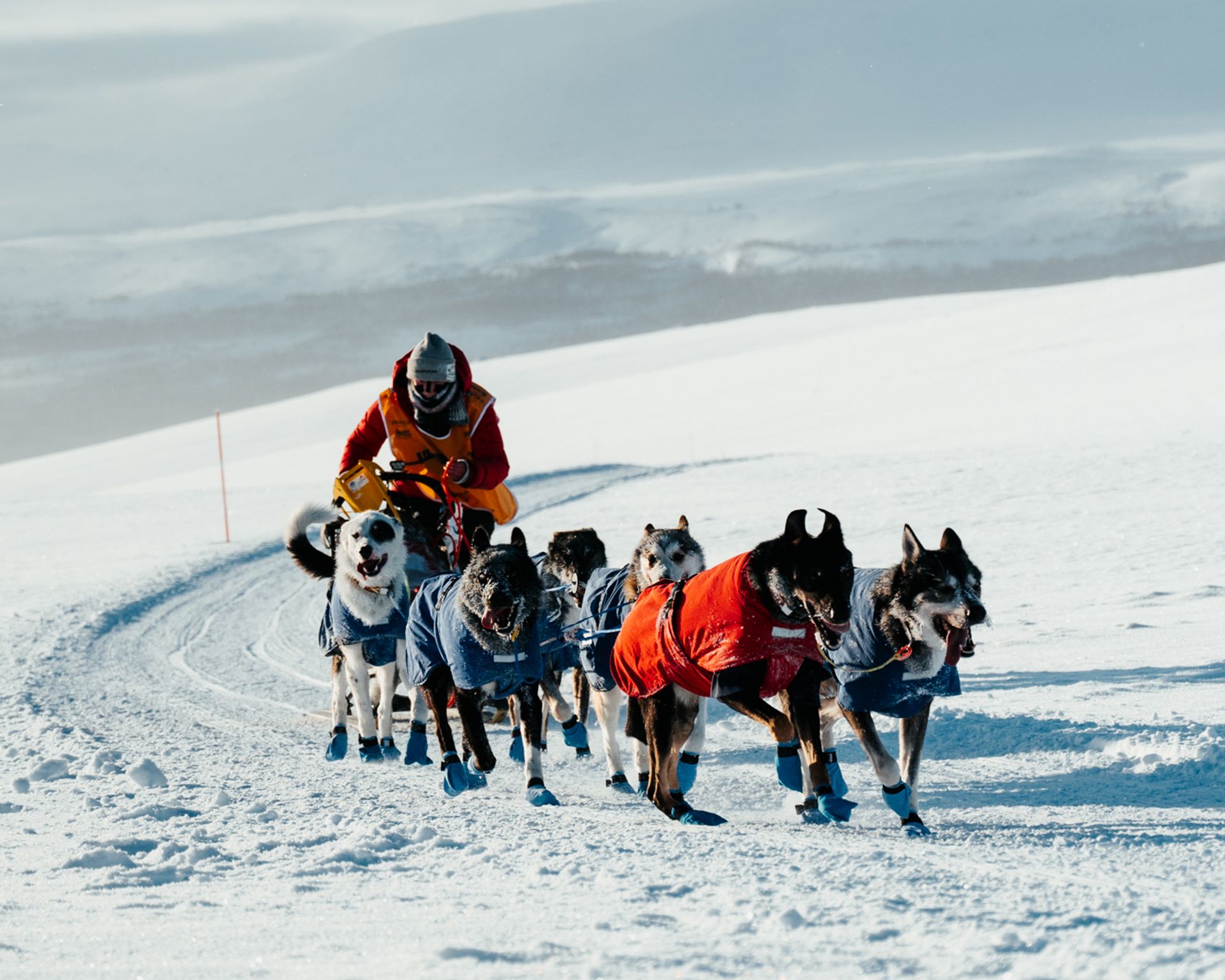 Foto Jeanette Rasmussen