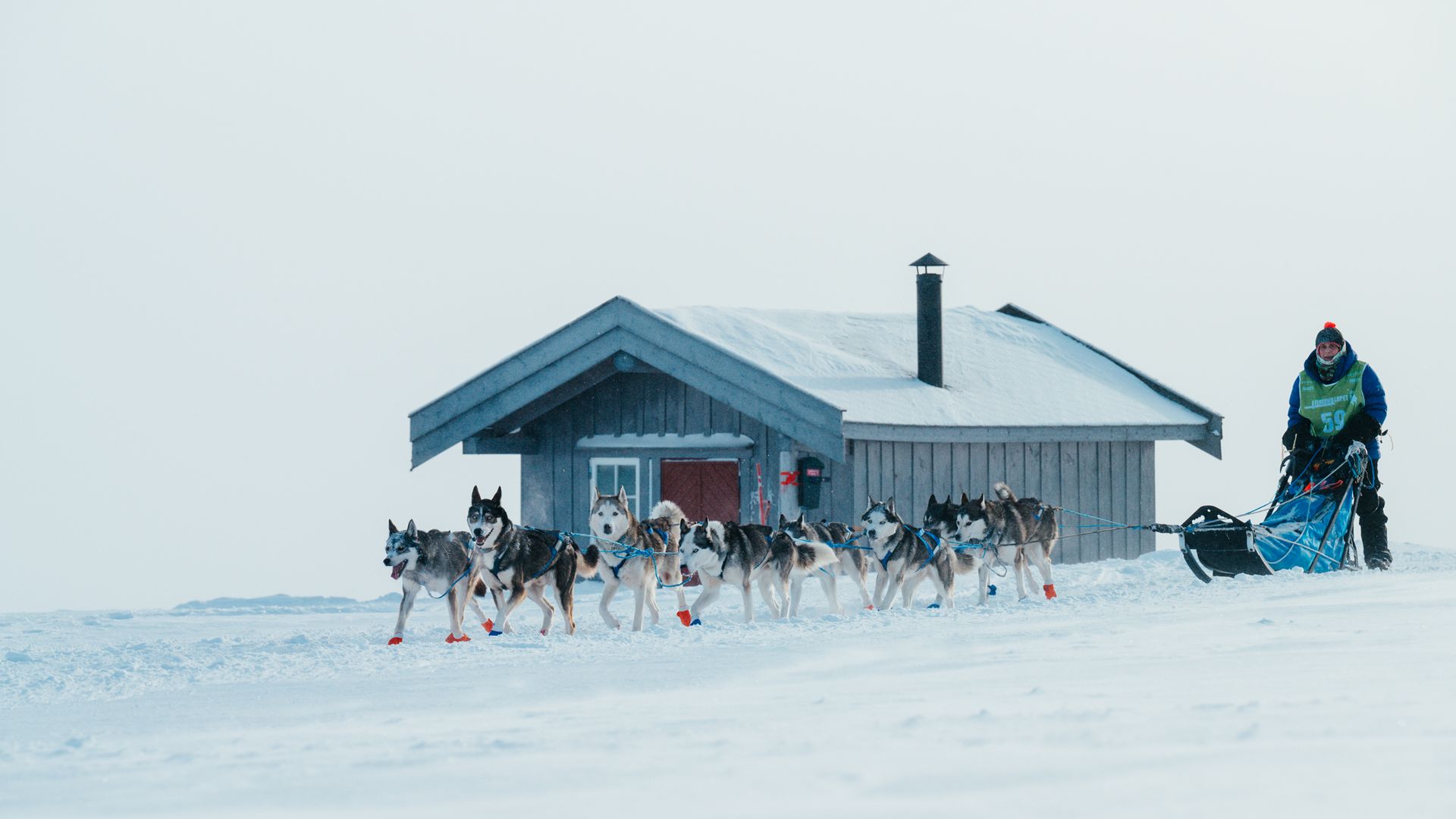 Foto Ann Helen Grebstad