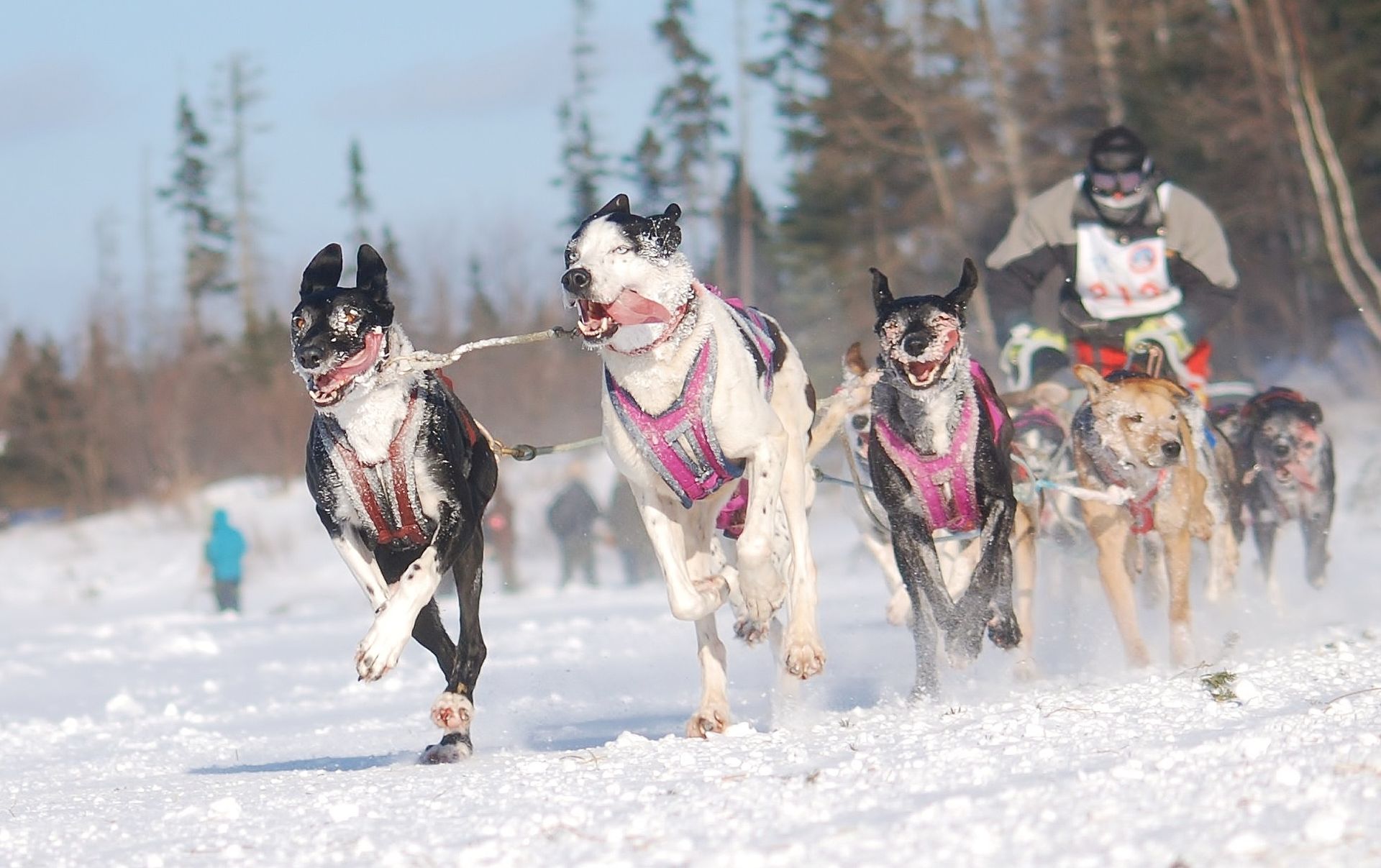 Foto Per Sverre Simonsen