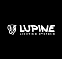 Lupine - 