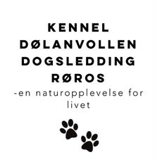 Kennel Dølanvollen  - 