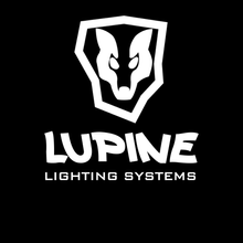 Lupine - 