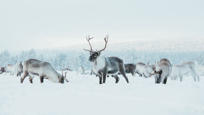 Foto Andreas Kokkvoll