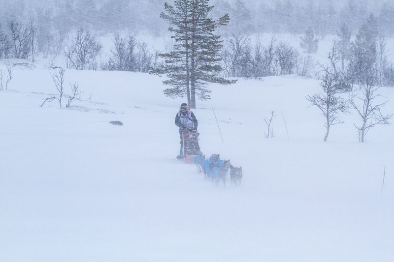GPX-filer og distansetabeller