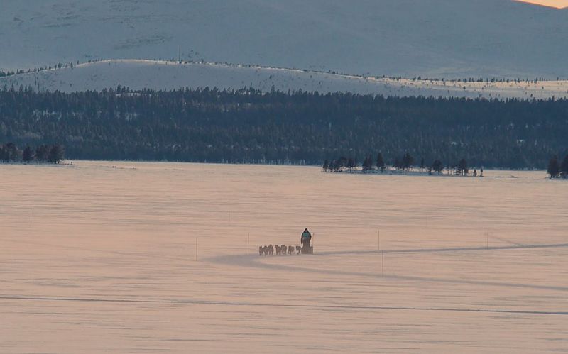 Vedtak i sanksjonssak - Deltager i Femundløpet 2024, utestengt på livstid