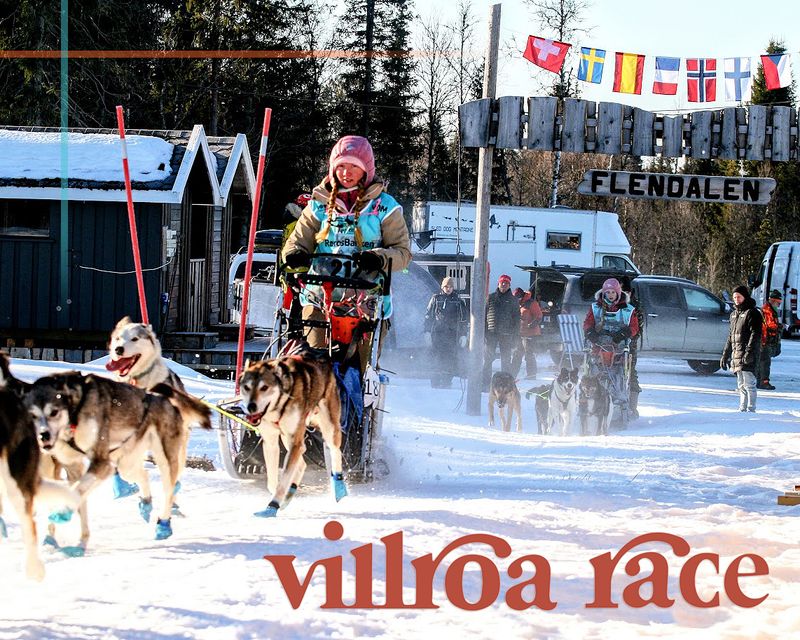 Villroa Race 2026 - lave skuldre i Flendalen