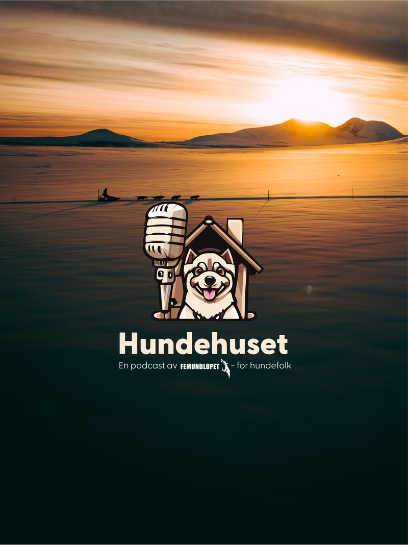 «Hundehuset» – Femundløpets egen podkast lanseres 26.12.23 