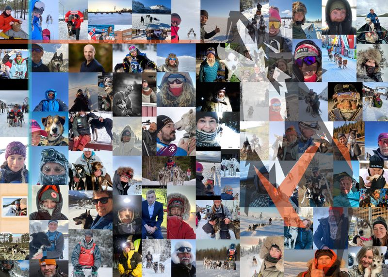 100 hundekjørere fra 11 nasjoner allerede påmeldt til Femundløpet 2026